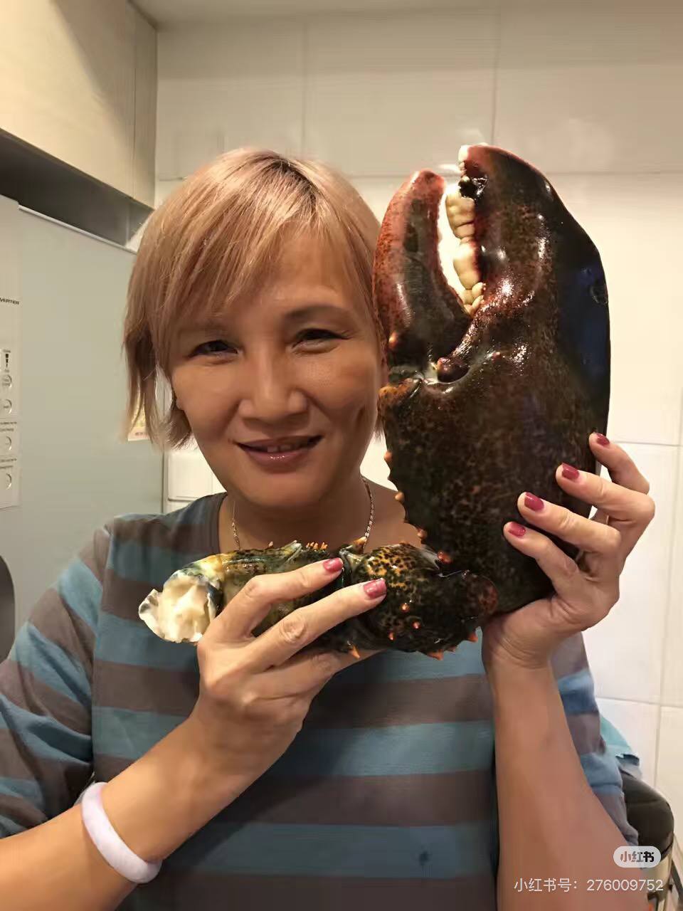 Giant kg-Grade Lobster Claw | Super Thick & Juicy | Premium Seafood