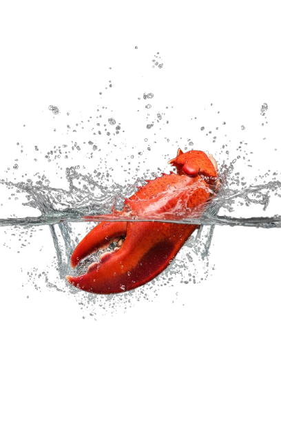 Oversized Premium Wild-Caught Lobster Knuckles